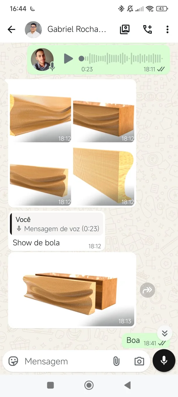 Avaliação de aluno no WhatsApp